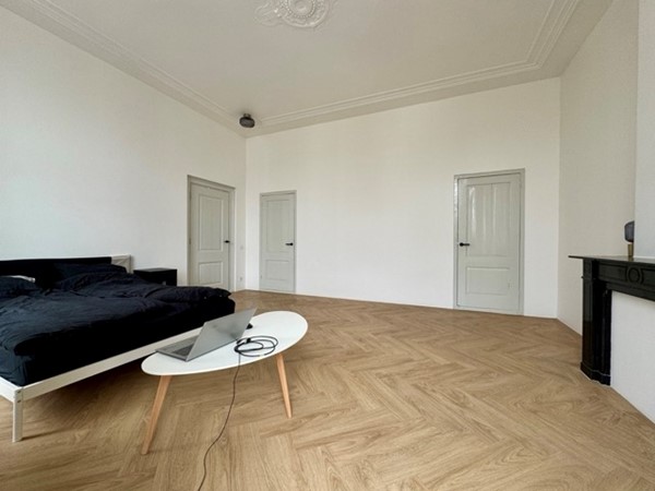 IMG_1025 2 Medium.jpeg